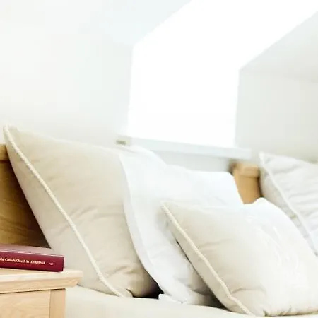 Domus Maria 维尔纽斯