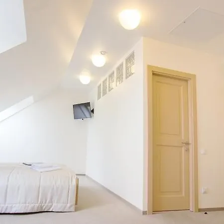 Domus Maria 维尔纽斯