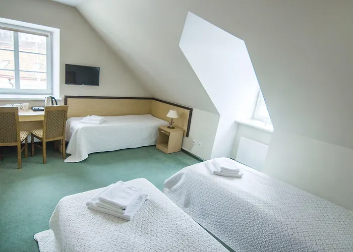 Domus Maria Βίλνιους