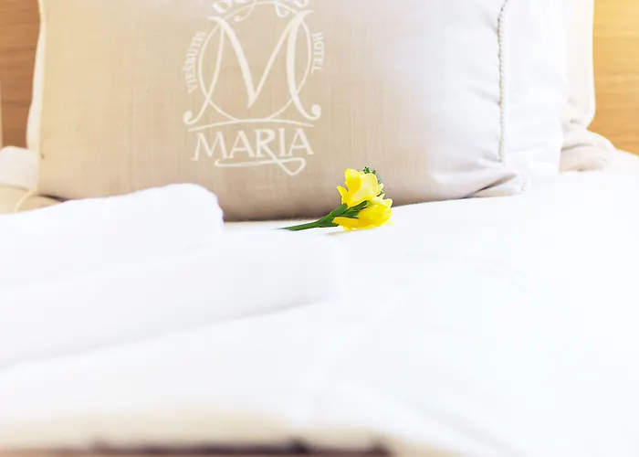 Domus Maria Ξενοδοχείο Βίλνιους