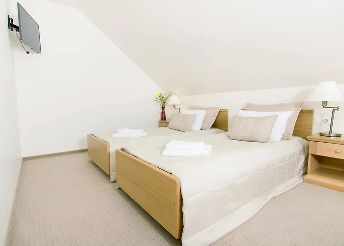 Hotell Domus Maria Vilnius