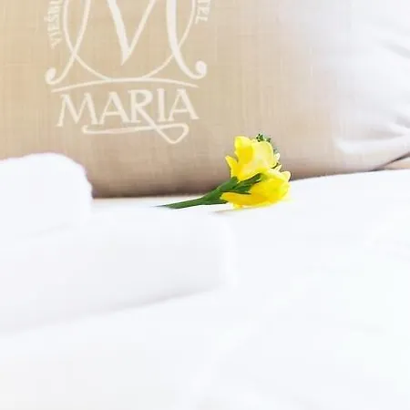 Hotel Domus Maria