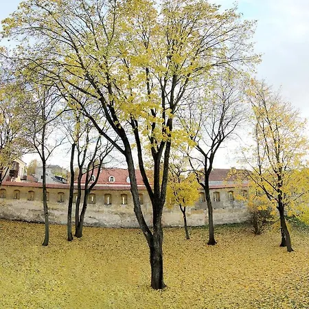 Domus Maria 3* VNO